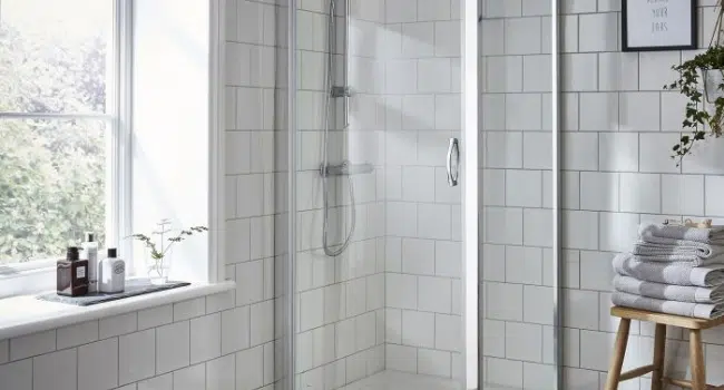Glass Shower Enclosure for Bathroom