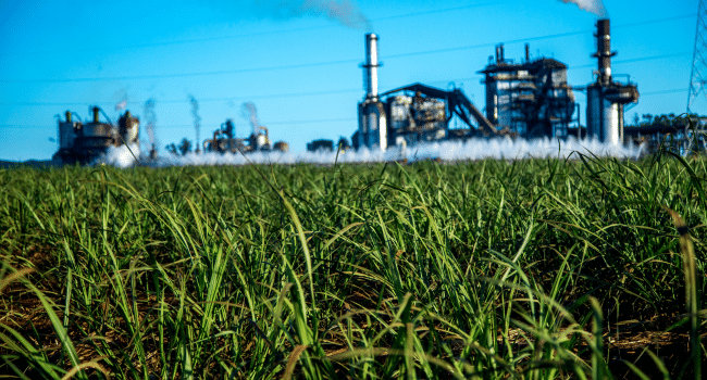 Global Agriculture Industry
