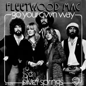 Go Your Own Way Lyrics Go Your Own Way Lyrics