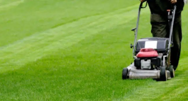 Grounds maintenance west midlands