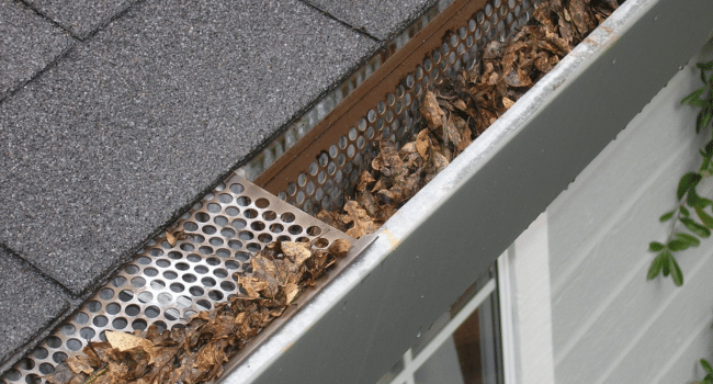 Gutter Cleaning