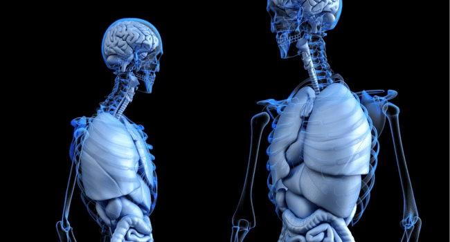 Health Conditions Through 3D Animations