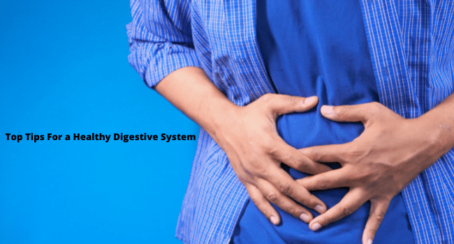 Healthy Digestive System