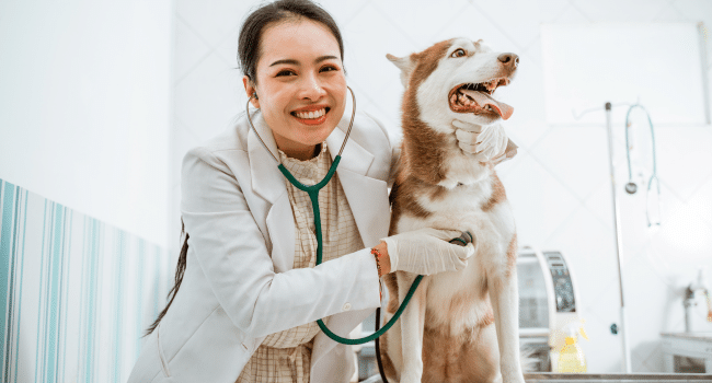 Healthy Pet