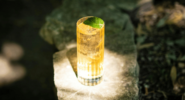 Highball Glasses