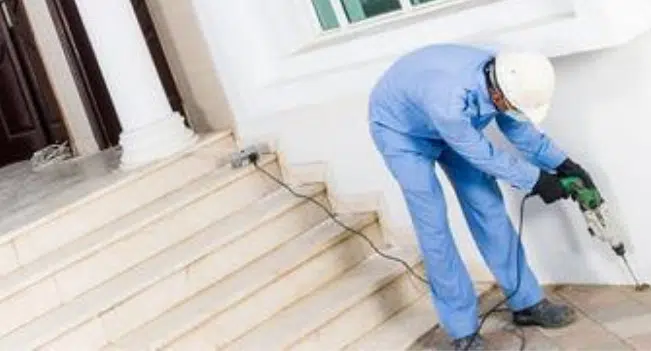 Hire Local Pest Control for Termite Treatment 