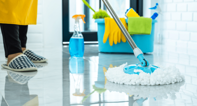 Home Without Cleaning Daily