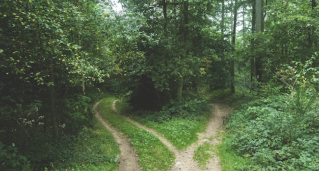 How to Make Choices