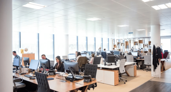 IT Services Built for Regular Businesses
