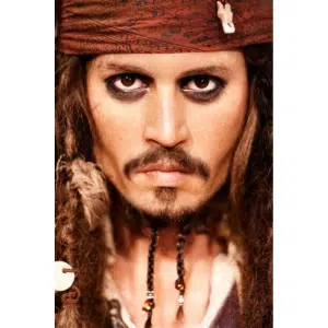 Johnny Depp Beard Style Image