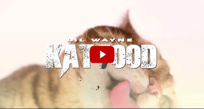 Kat Food Song