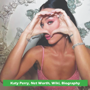 Katy Perry Net Worth 2024