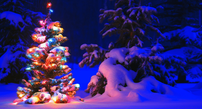 LED Christmas Lights