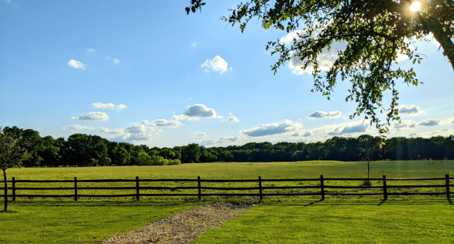Land in Texas