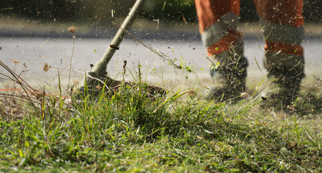 Landscaping Services