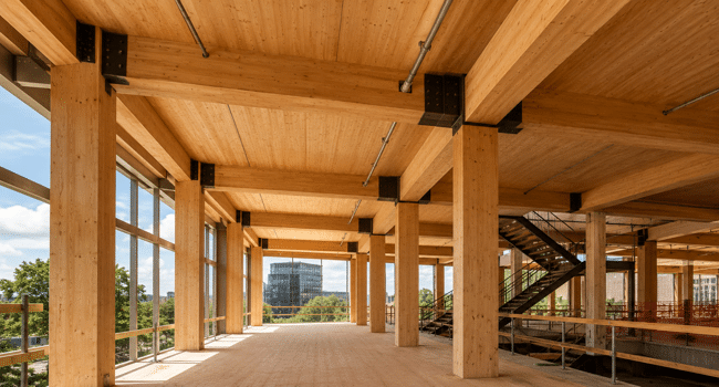 Mass Timber