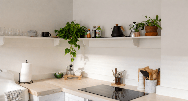 Minimalist Plant Decor Ideas