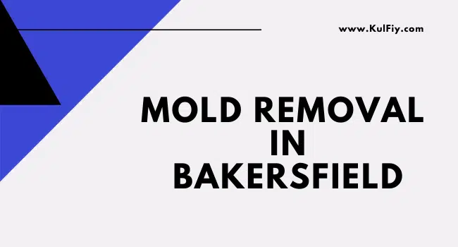 Mold Removal in Bakersfield