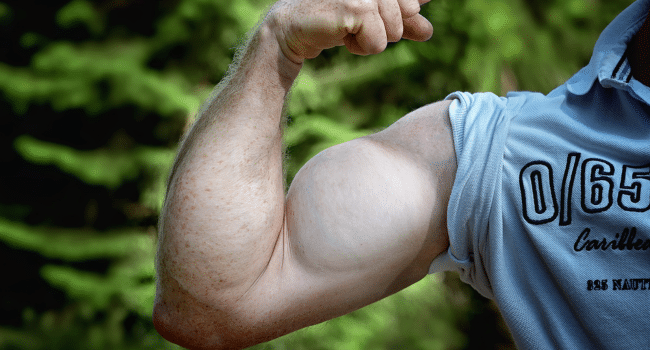 Muscle Growth