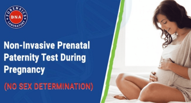 Non-Invasive Prenatal Paternity Test