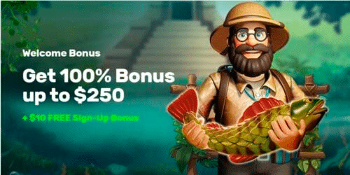 Online Pokies Australia Safety Guide