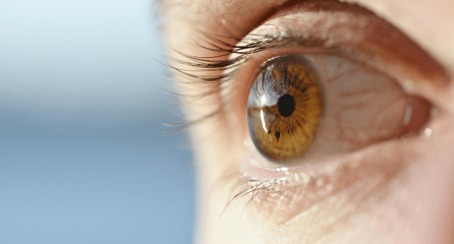 Ophthalmology Essentials and Vision Care