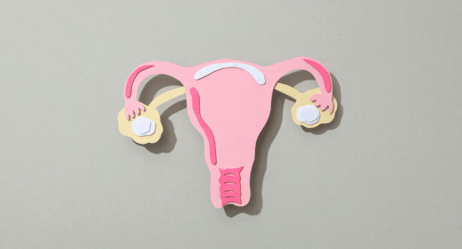 Ovulation Tracking