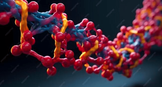 Peptides for Research