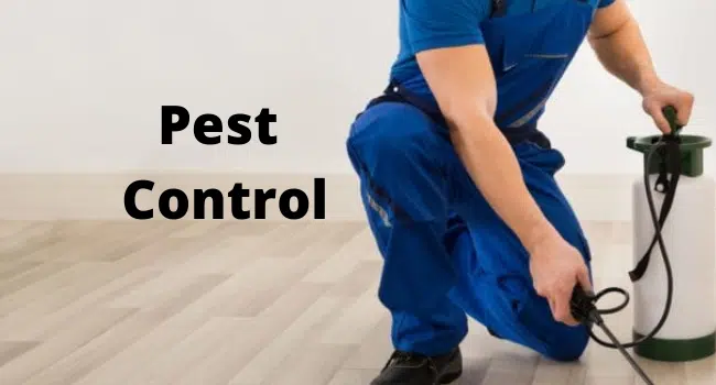 Pest Control