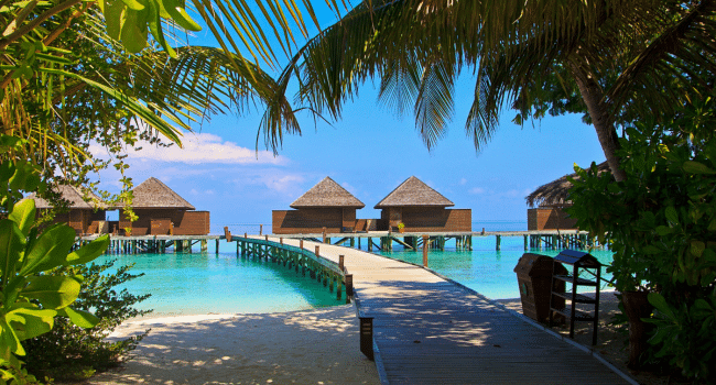 Phi Phi Islands