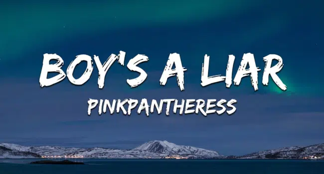 PinkPantheress Boys a Liar