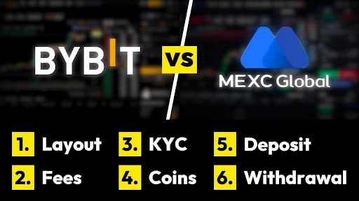 Platform Background and Market Position