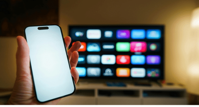 Polish HD TV