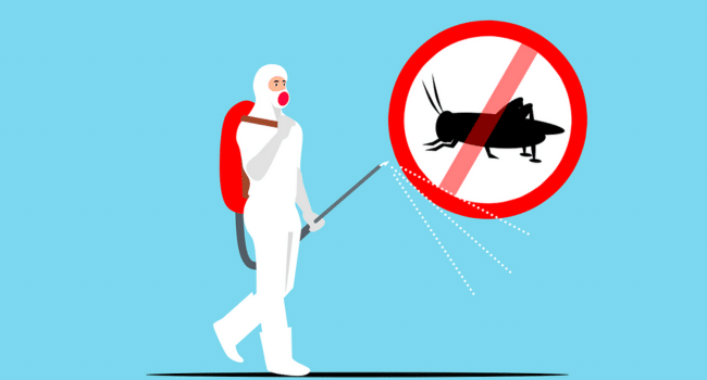 Professional Exterminators