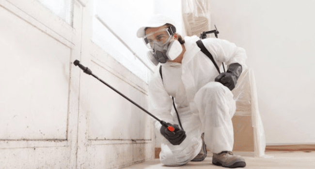 Protect Your Home From Wildlife Damage