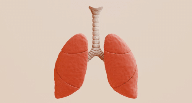 Pulmonology and Respiratory Health Solutions