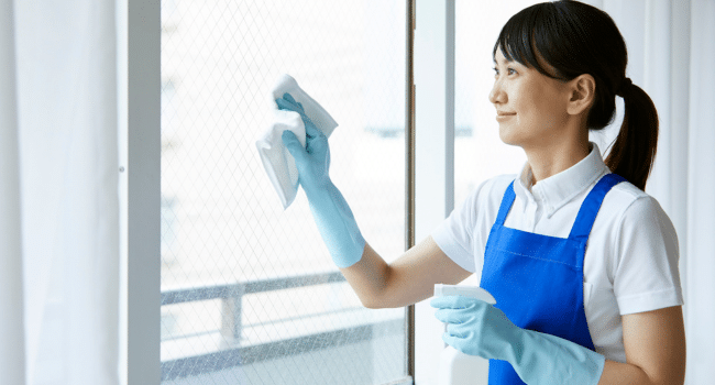 Regular Window Cleaning