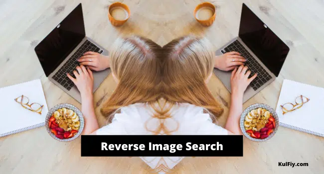 Reverse Image Search