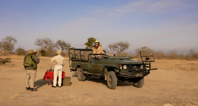 Safari Tours