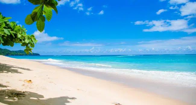 Safest Beaches In The World