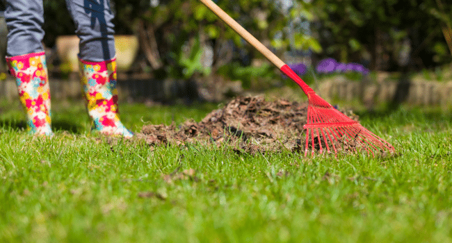 Seasonal Cleaning