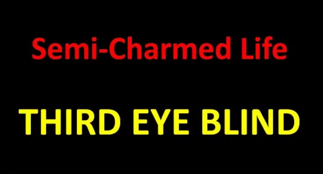 Semi Charmed Life Lyrics