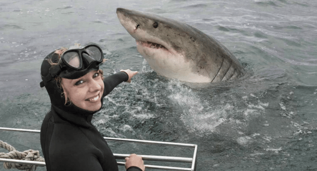 Shark Cage Diving