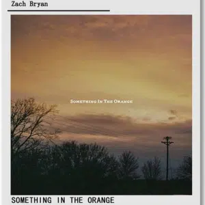 Something in the Orange Lyrics