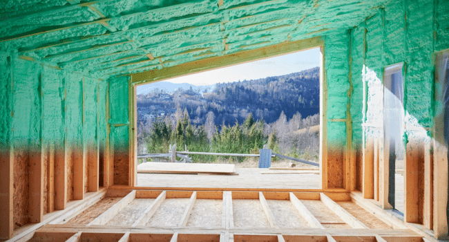 Spray Foam Insulation