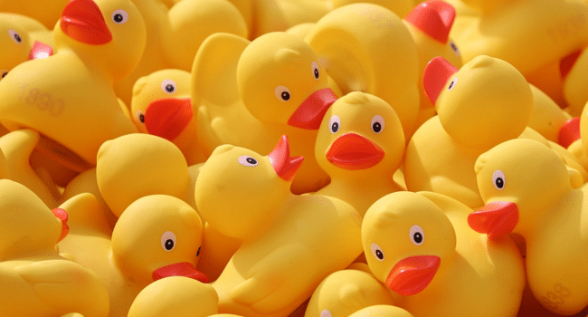 Squish Toys for Arcades