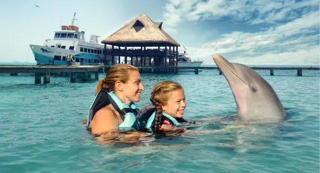 Swim with Dolphins in Isla Mujeres