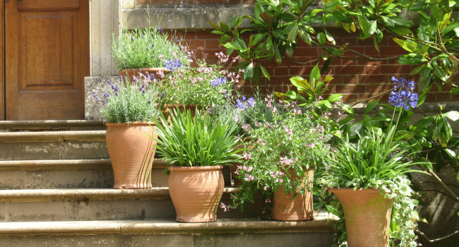 Terracotta Patio