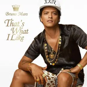 That's What I Like Lyrics That's What I Like Lyrics