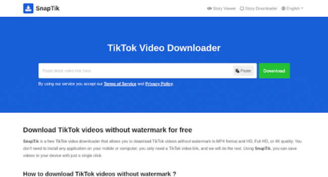 TikTok Downloader